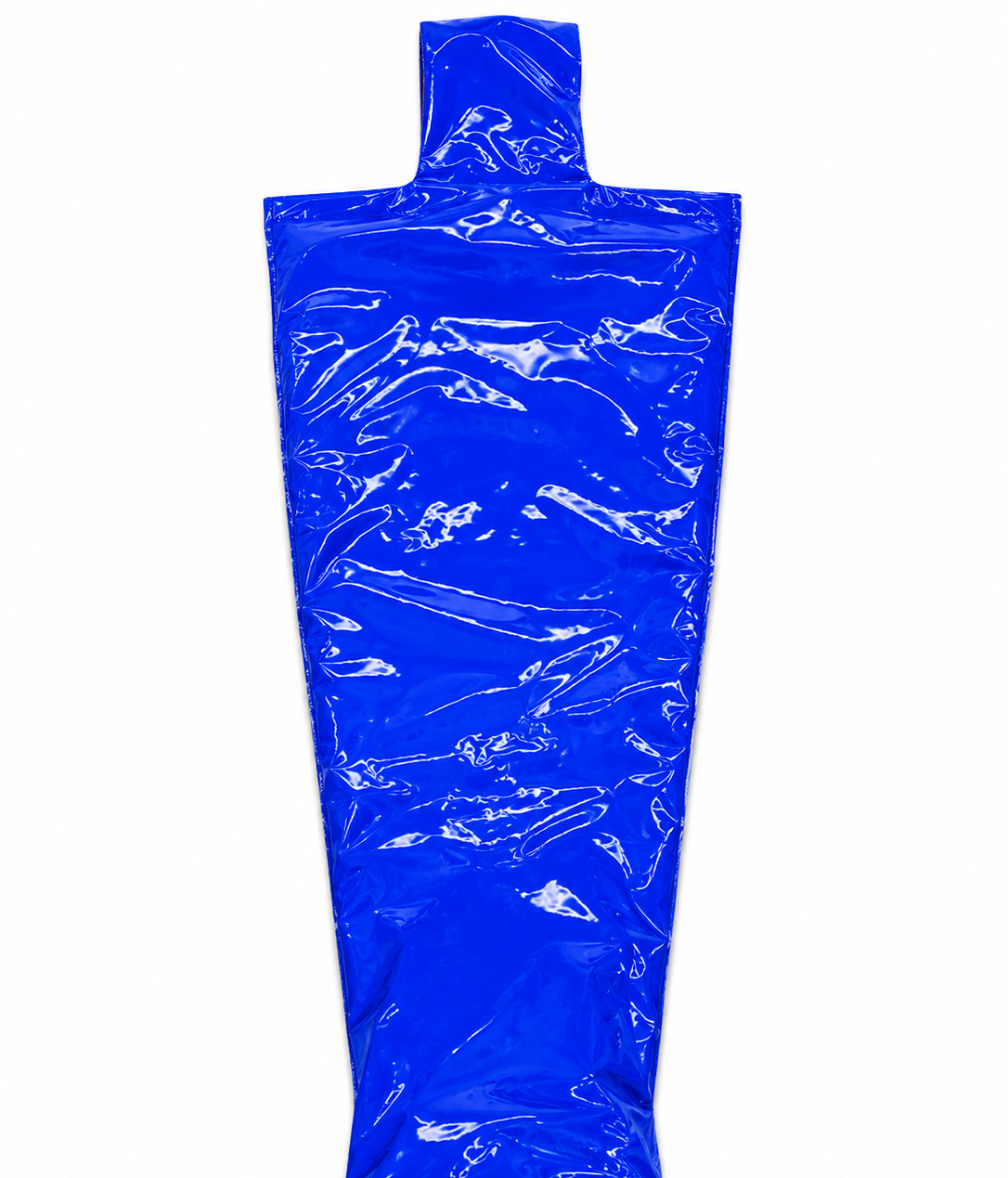 Blue Shiny Nylon Hooded Full Body Cover