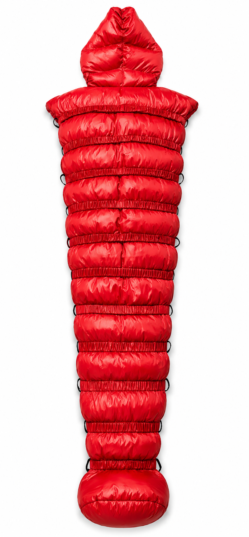 Shiny Nylon Padded Full Body Cocoon Bag